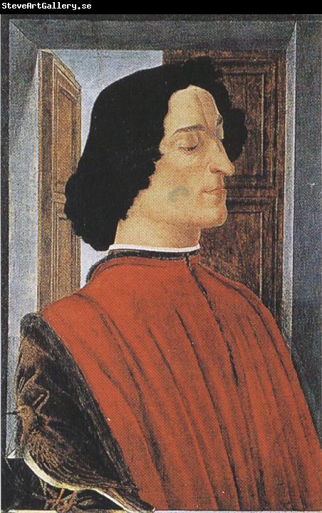 Sandro Botticelli Portrait of Giuliano de'Medici (mk36)